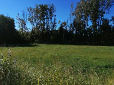 Vente Terrain SAINT-MARTIN-DE-CRAU 13310