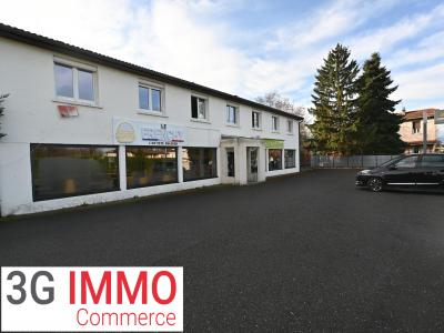 Vente Local commercial SAINT-CYPRIEN 42160