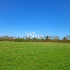 Vente Terrain VOUHE 17700
