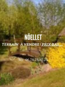 Vente Terrain NOELLET  49