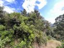 Vente Terrain Cervione 20