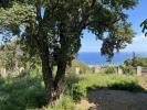 Annonce Vente Terrain Bastia