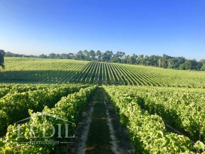 Vente Terrain CASTELNAU-D'AUZAN 32440