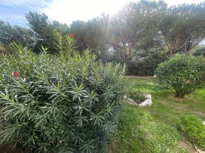 Vente Appartement SEYNE-SUR-MER 83500