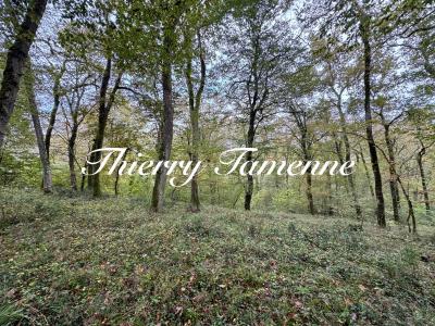 Vente Terrain BARBASTE 47230