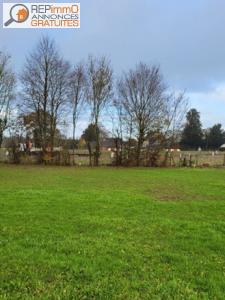 Vente Terrain THEIL-DE-BRETAGNE 35240