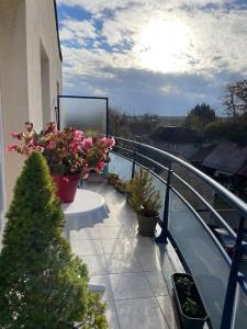 For rent Apartment CHANTILLY  60