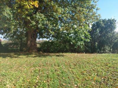 For sale House CHARENTON-DU-CHER 