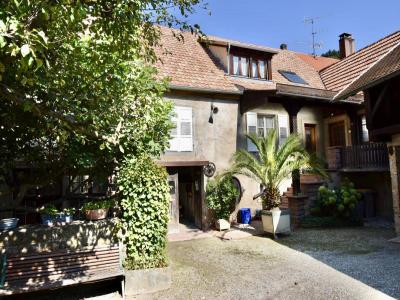 Vente Maison 10 pièces ANDLAU 67140