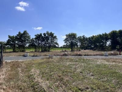 Vente Terrain CHAMPTOCEAUX 49270