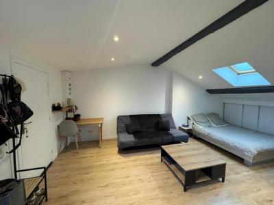 Location Appartement ROANNE 42300