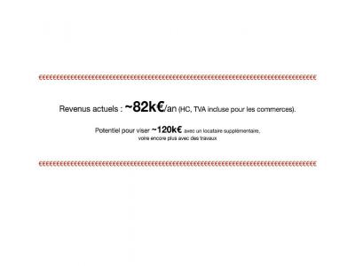 Vente Immeuble LIMOGES 87000