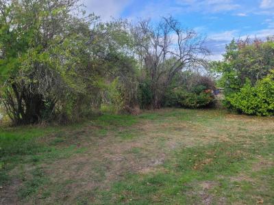 Vente Terrain LANTON  33