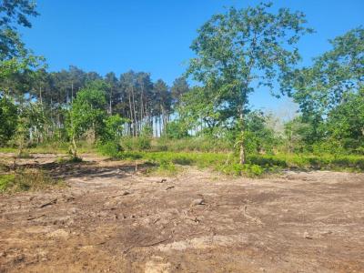 Vente Terrain SANGUINET  40