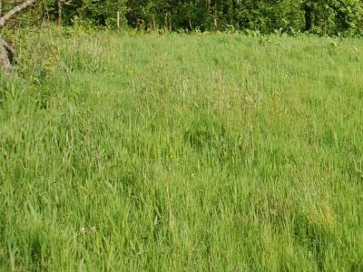 For sale House LIMESY 