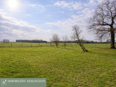 For sale House VIERZON 