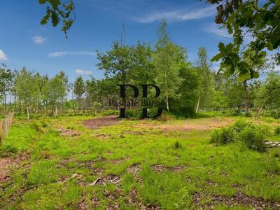 Vente Terrain VENDAYS-MONTALIVET 33930