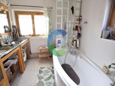 Vente Maison VILLEMOISSON-SUR-ORGE 