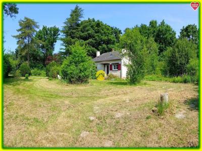 Vente Maison NEUVY-SUR-BARANGEON 