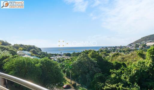 Vente Appartement 3 pi�ces CASE-PILOTE 97222