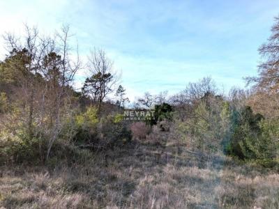 Vente Terrain CALLIAN 83440