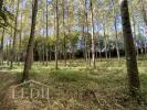 Annonce Vente Domaine forestier Cazaubon