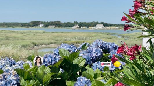 Vente Maison 7 pi�ces TOUR-DU-PARC 56370