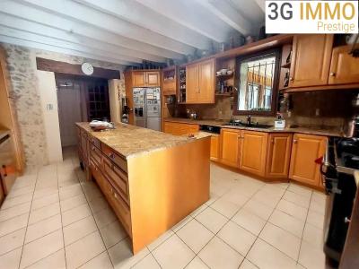 Vente Maison 15 pi�ces AMBRUS 47160