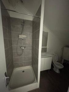 Location Appartement SAINT-ETIENNE 