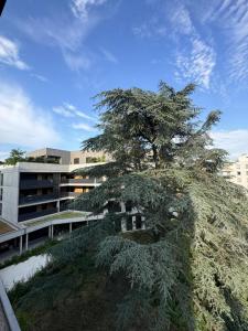 Vente Appartement TASSIN-LA-DEMI-LUNE 
