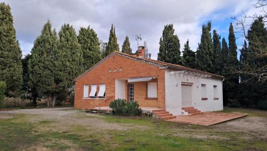 Location Maison 4 pi�ces SAINT-MARTIN-LALANDE 11400