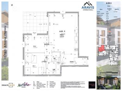 Vente Appartement THONES 