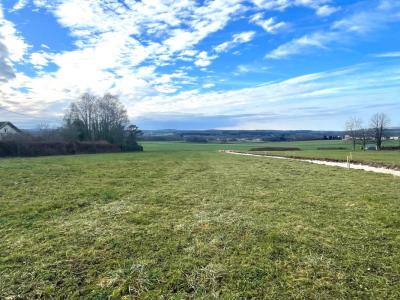 For sale House SAONE 