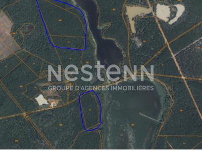 For sale Forested aera FONTAINES-EN-SOLOGNE  41