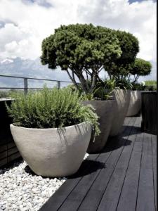 Vente Appartement 2 pi�ces THOIRY 01710