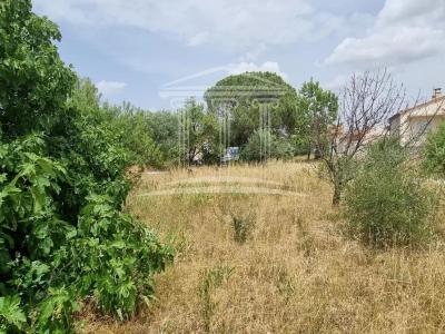 Vente Terrain SORGUES 84700