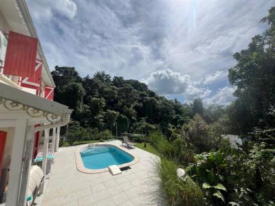 Vente Maison GROS-MORNE 