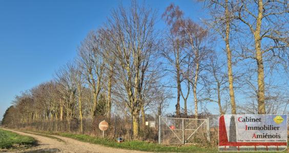 Vente Terrain ALLONVILLE 80260