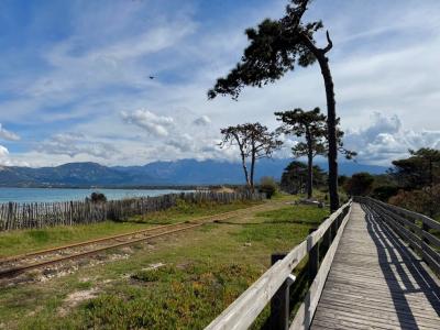 Vente Appartement 3 pi�ces CALVI 20260