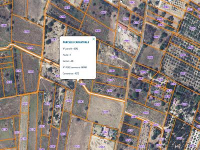 Vente Terrain PALAU-DEL-VIDRE 66690