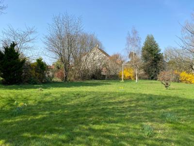 Vente Terrain IGNY 91430