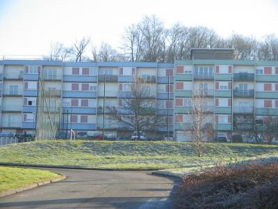 Location Appartement 3 pi�ces DELLE 90100