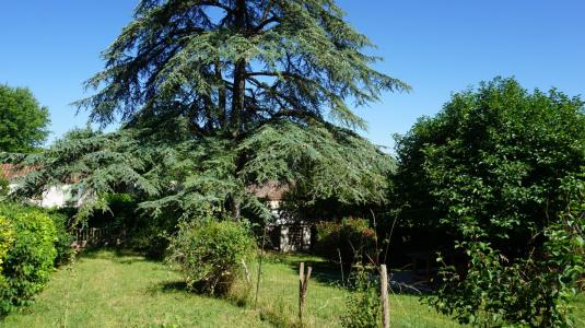 Vente Maison 4 pièces CASTELNAU-MONTRATIER 46170