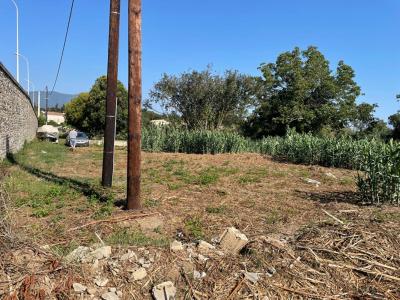 Vente Terrain VENZOLASCA  20