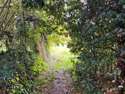 Vente Maison CAILLERE-SAINT-HILAIRE  85