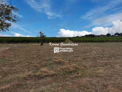 For sale Land LUSSAC  33