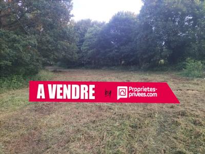 Vente Terrain SAINT-GUYOMARD 56460