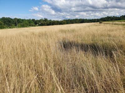 Vente Terrain POMPIGNAC 33370