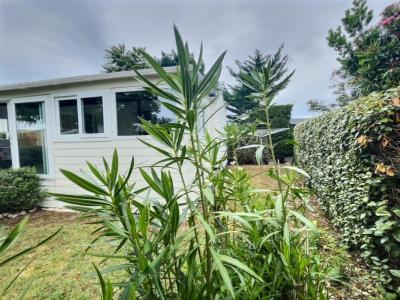 Vente Terrain SAINT-DENIS-D'OLERON 17650