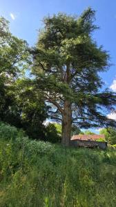 Vente Terrain VOUNEUIL-SOUS-BIARD 86580